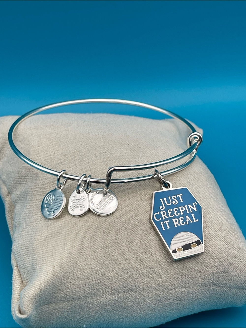 Alex and Ani Silver Bracelet with Blue Coffin Charm